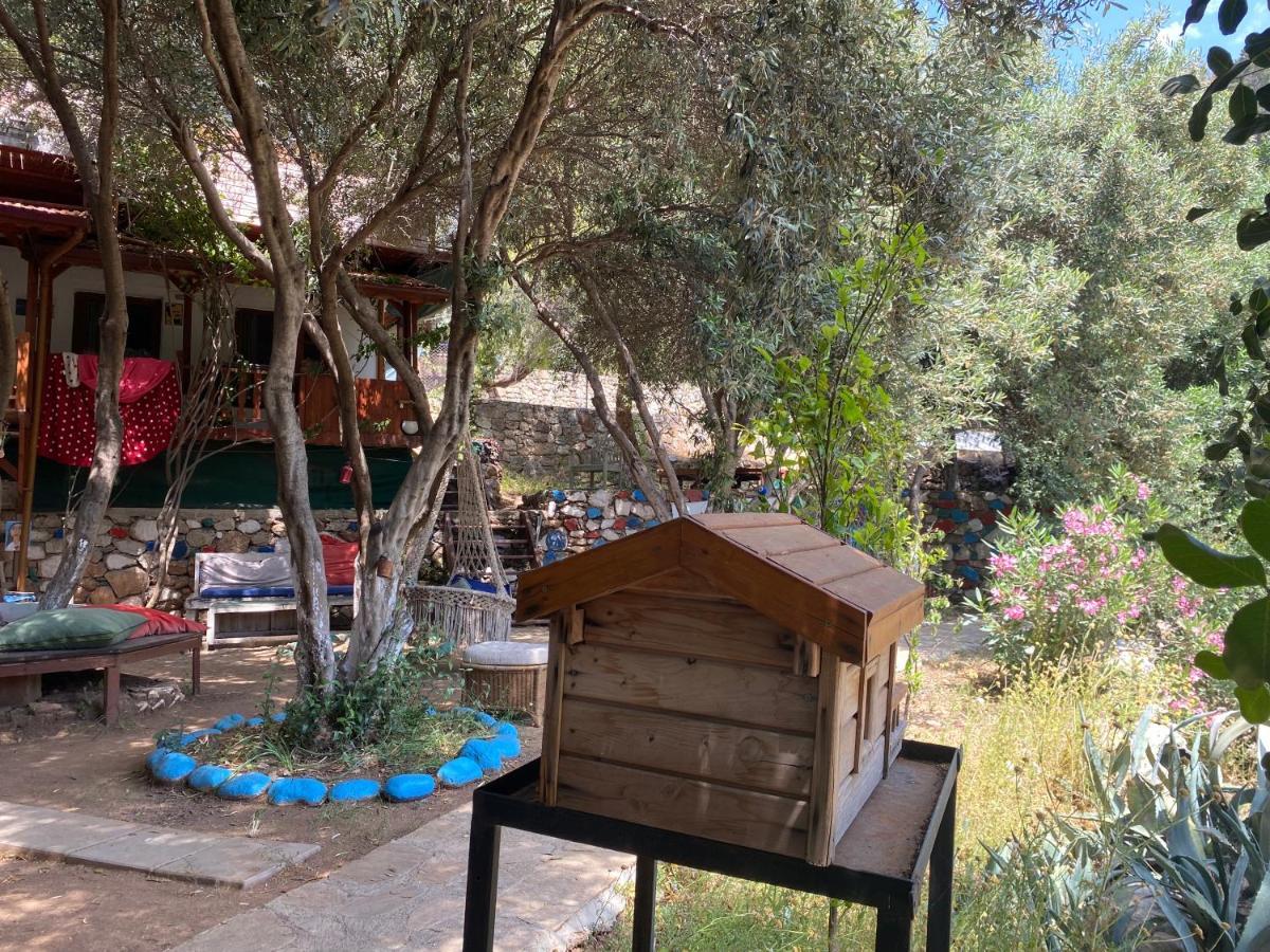 דירות Cedit Casa Roja מראה חיצוני תמונה