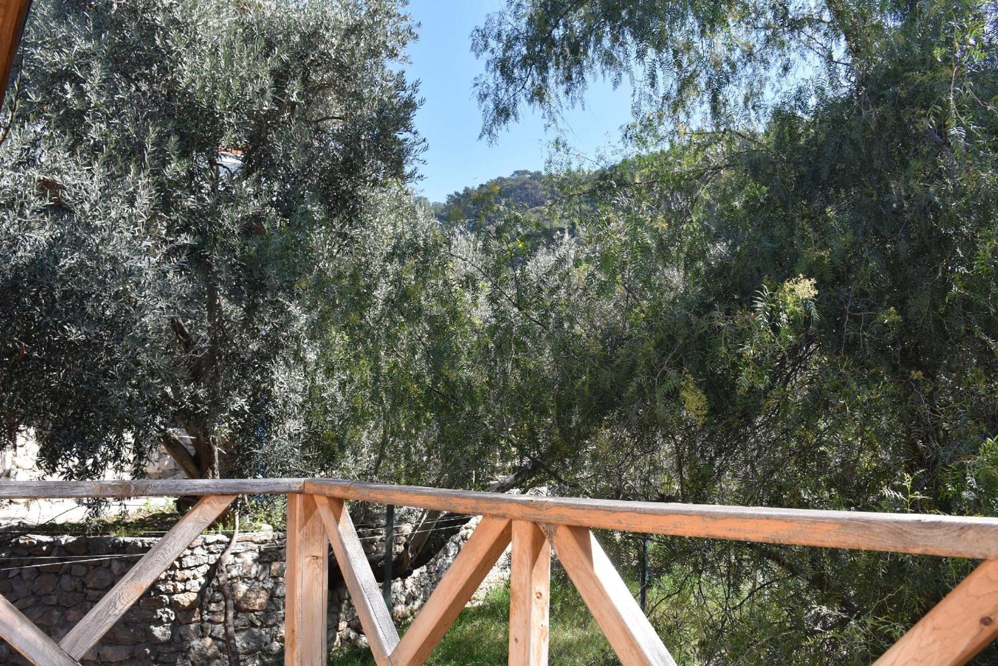 דירות Cedit Casa Roja חדר תמונה